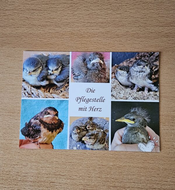 WVH - Postkarte Amselweg