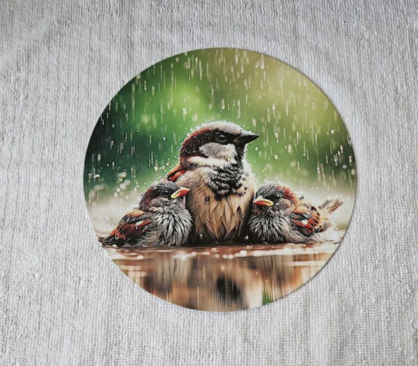 Blechschild Regen "Spatzen"