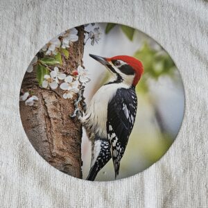 Blechschild "Specht"