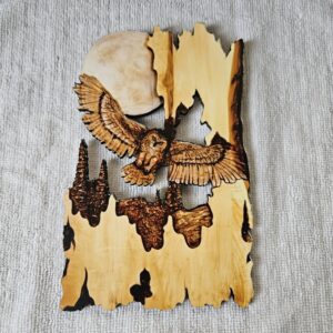 Holzschild "Eule"