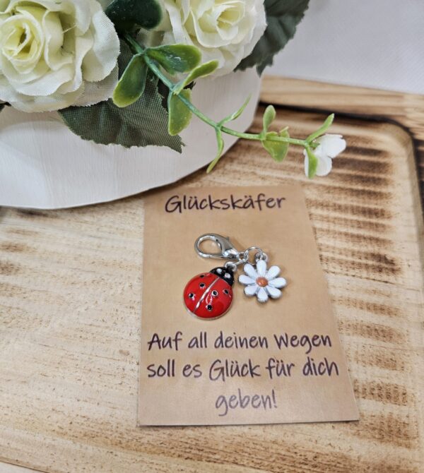 Glückskäfer