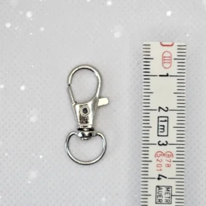 BZ - Karabiner mit Ring